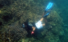 snorkeling di Tanjung Putus